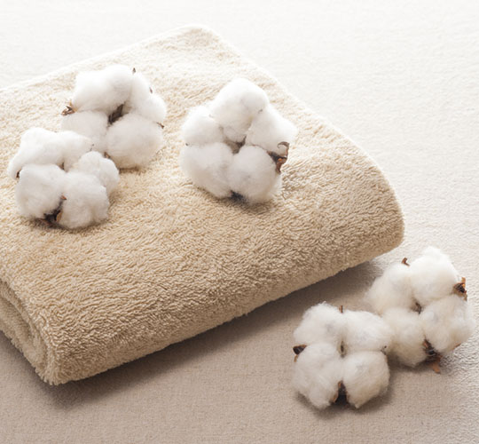 organic cotton towel manufacturer